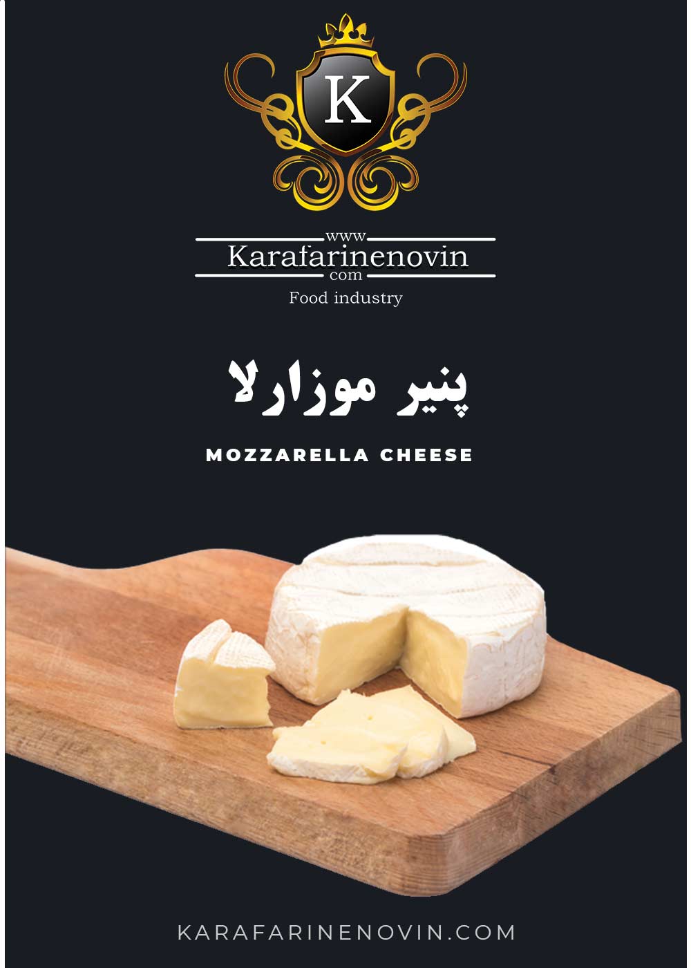 آزمون میکروبی پنیر موزارلا