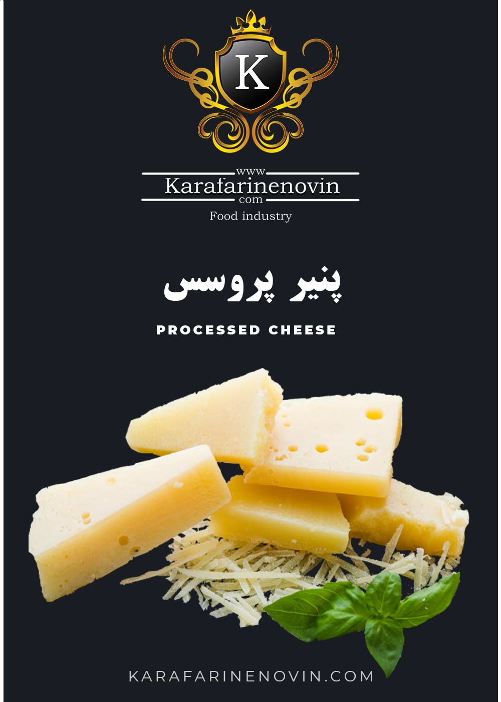 آزمون میکروبی پنیر پروسس